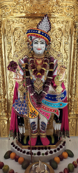 daily darshan image