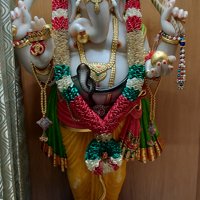 Daily Darshan